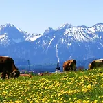 Haus Bergblick *