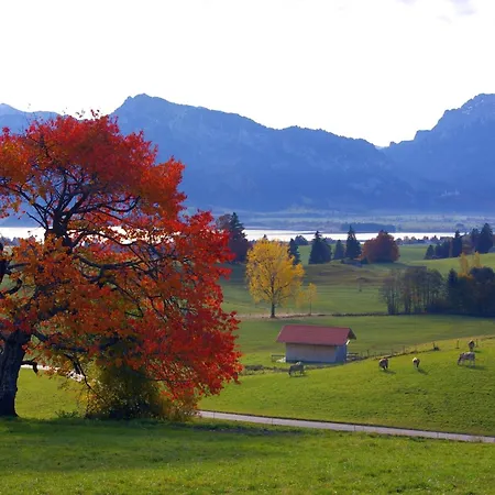 Haus Bergblick 里登