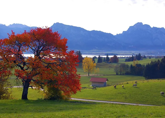 Haus Bergblick 里登